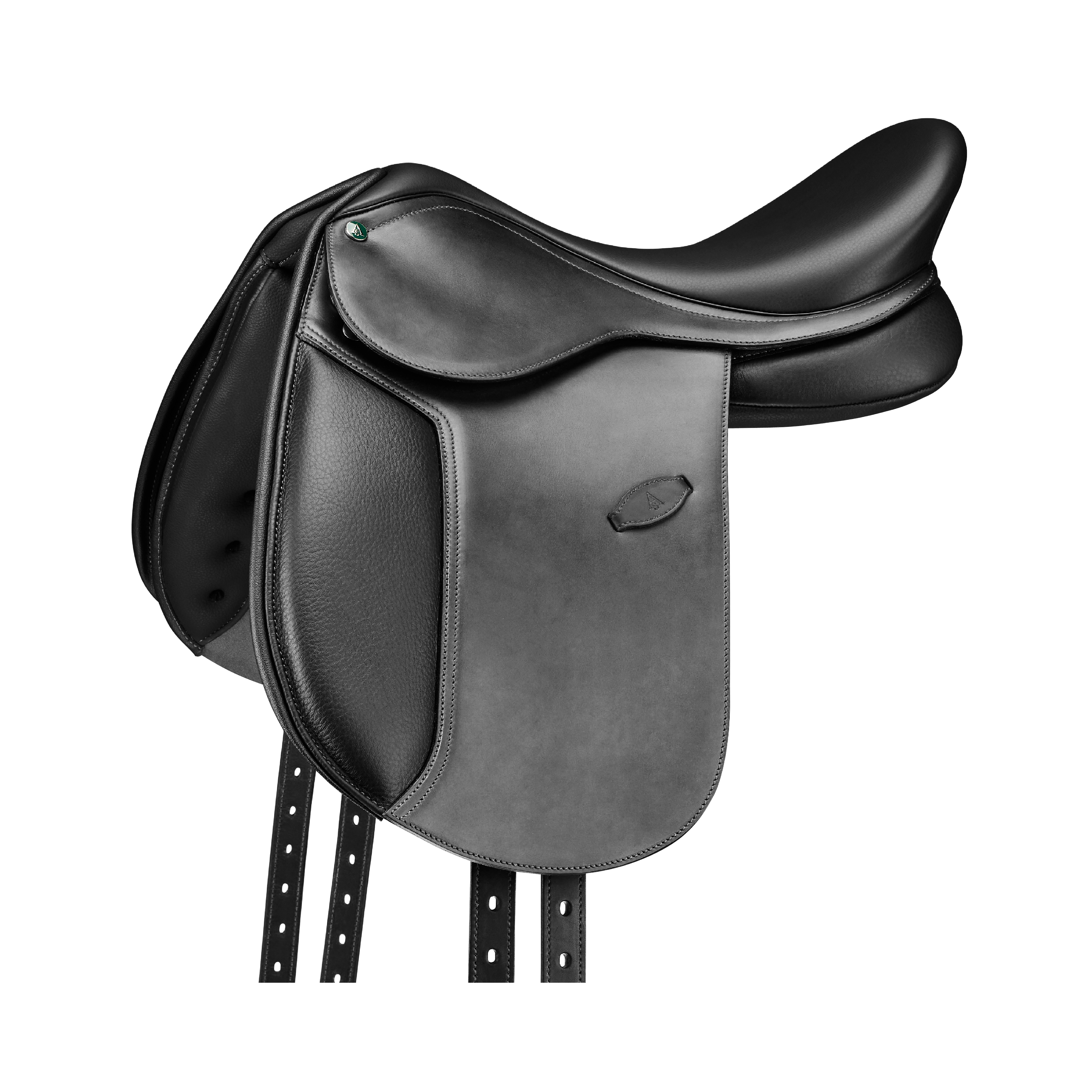 Arena Pony Dressage