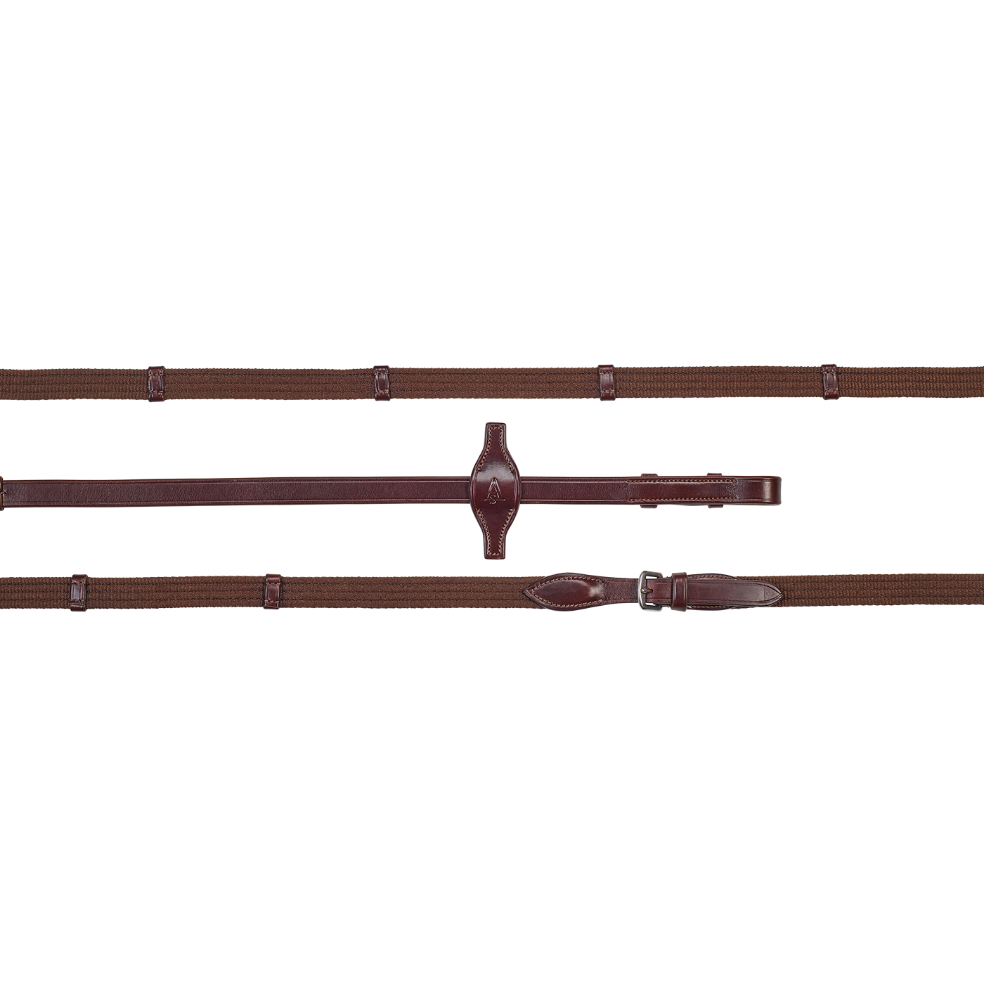Arena Web Reins