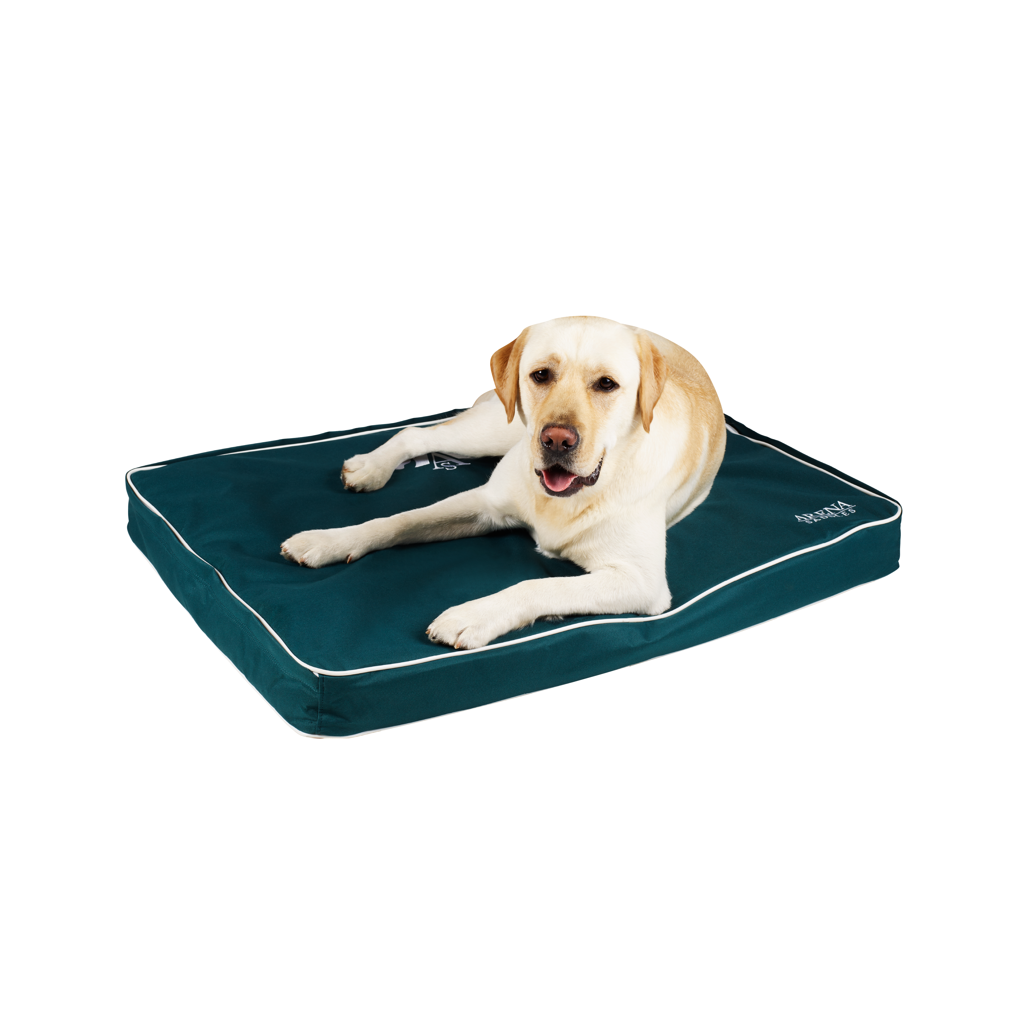 Arena Dog Bed