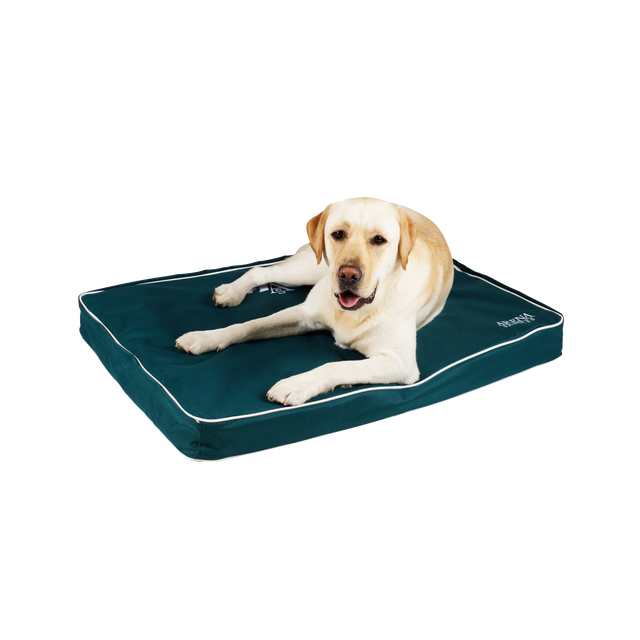 Arena Dog Bed