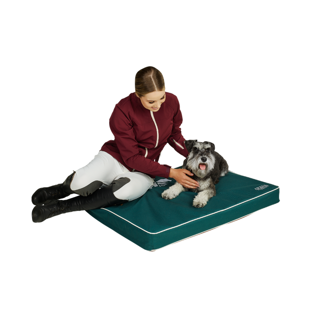 Arena Dog Bed
