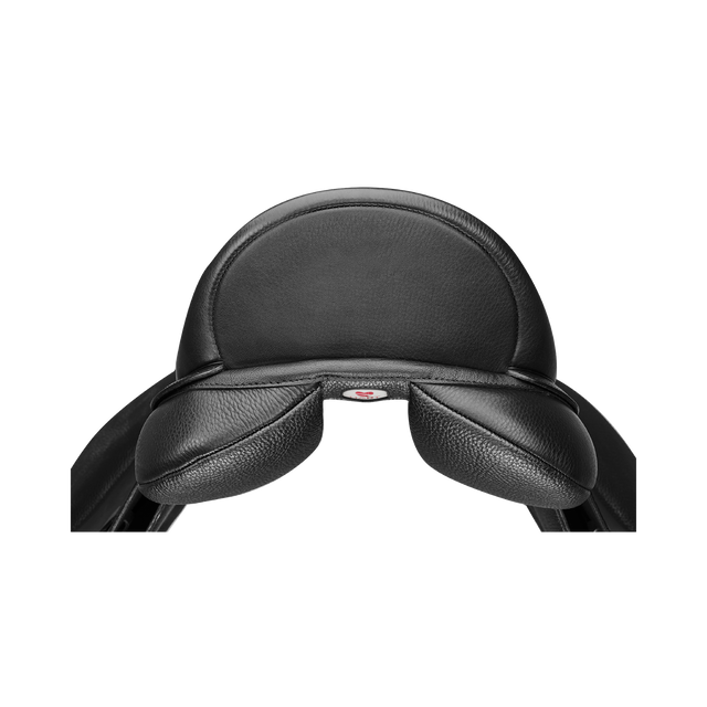 Arena Dressage