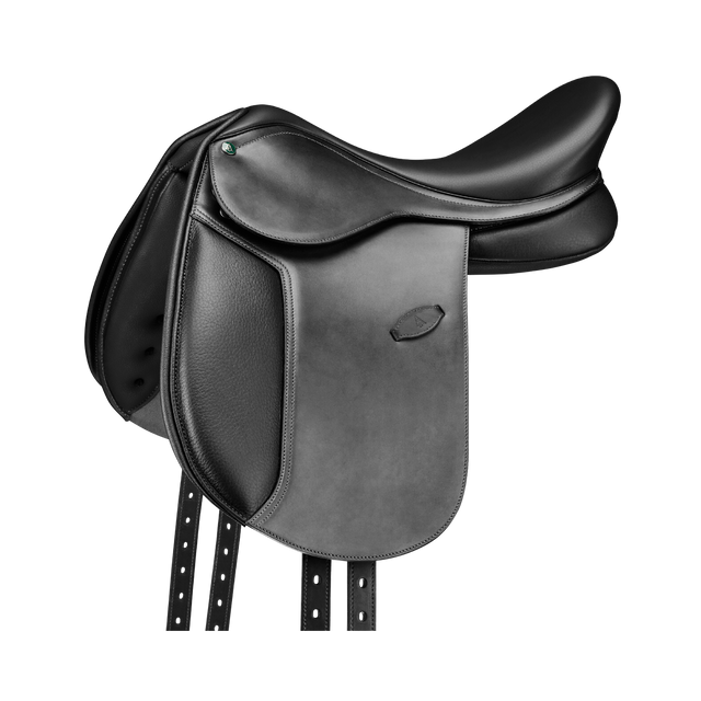 Arena Pony Dressage