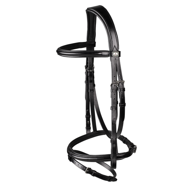 Arena Classic Bridle Bundle