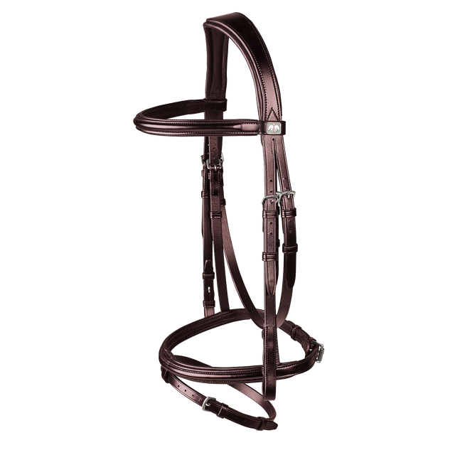 Arena Classic Bridle Bundle