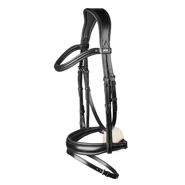 Arena Dressage Bridle Bundle