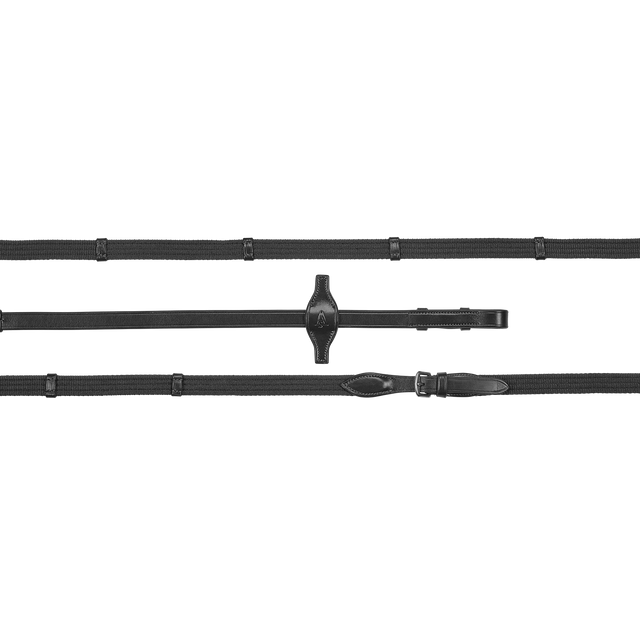 Arena Web Reins
