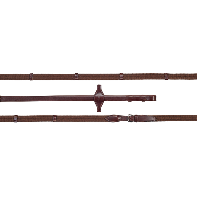Arena Web Reins
